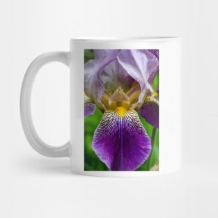 Garden Iris 4 Mug